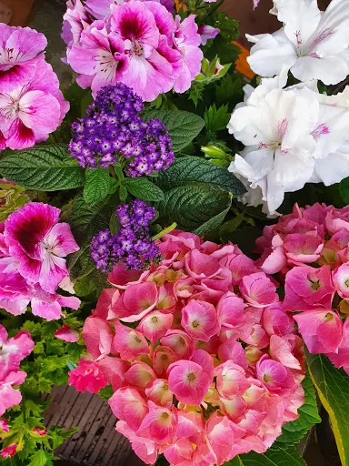 Kwiaciarnia Osadnicza